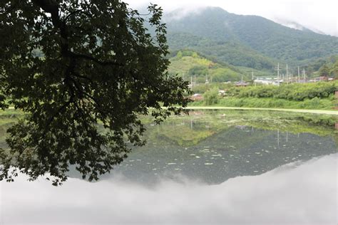 搭乘白色降落傘隨著風吹四處搖|【詩詞賞析】東邊日出西邊雨 道是無晴卻有晴＠逸竹（y t）野叟